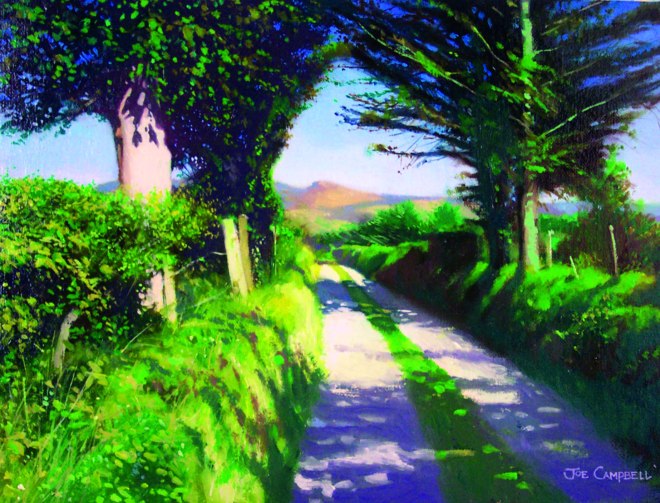 Summer in the Donegal Highlands