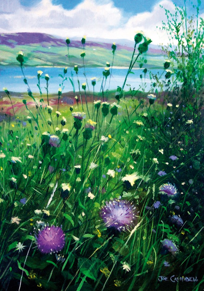 Wild Flowers at the Downings